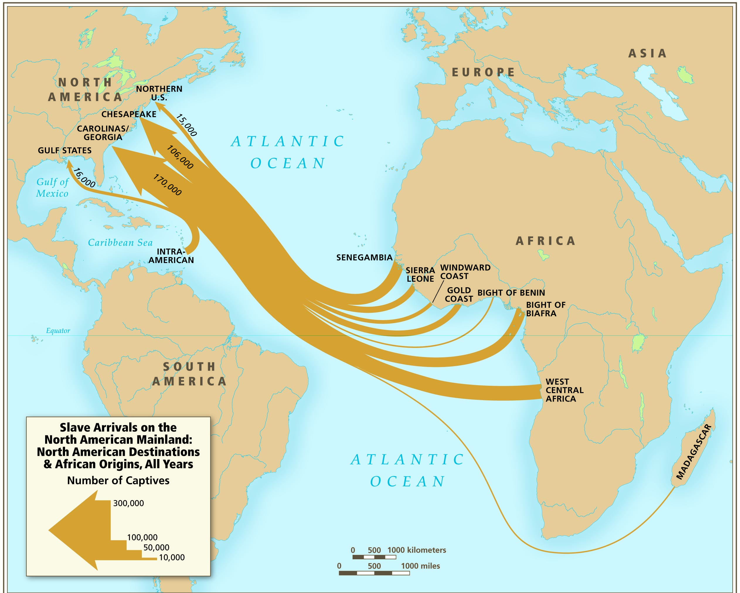 The Origins Of Slavery AP US History Study Guide From The Gilder 